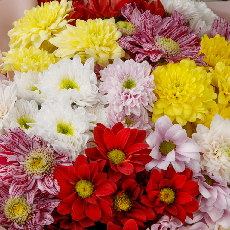 Букет хризантем Танец цветов