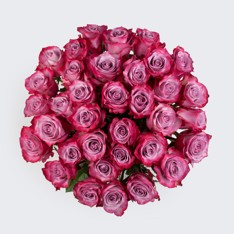 Букет 35 роз Дип Перпл (Эквадор), 60 см