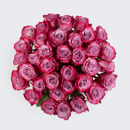 Букет 35 роз Дип Перпл (Эквадор), 60 см