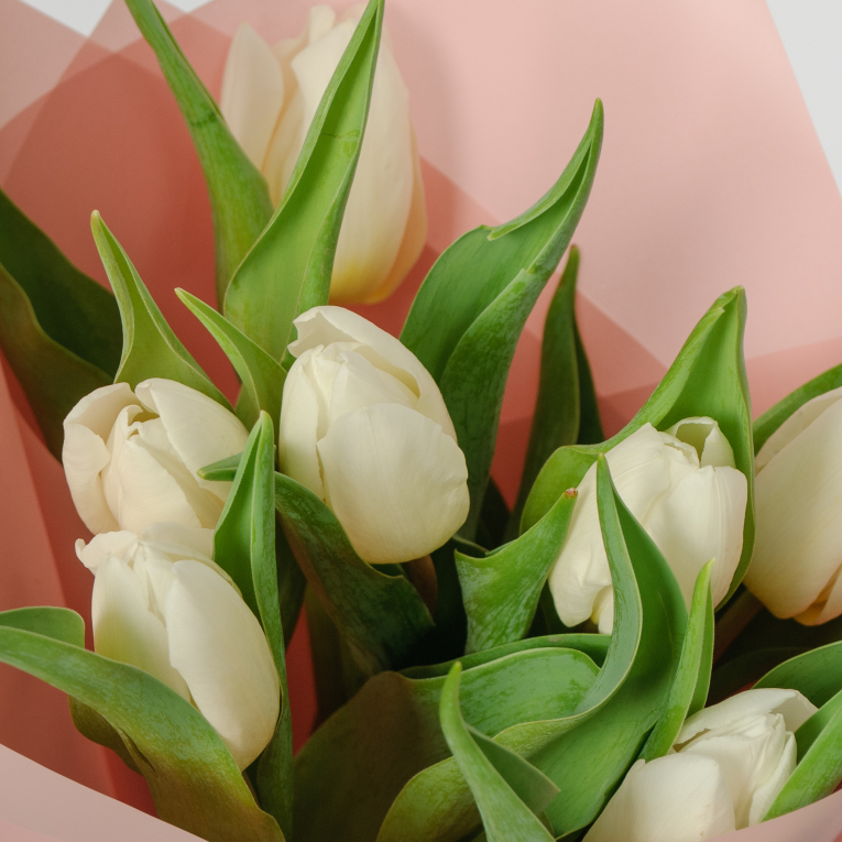 Букет 7 белых тюльпанов