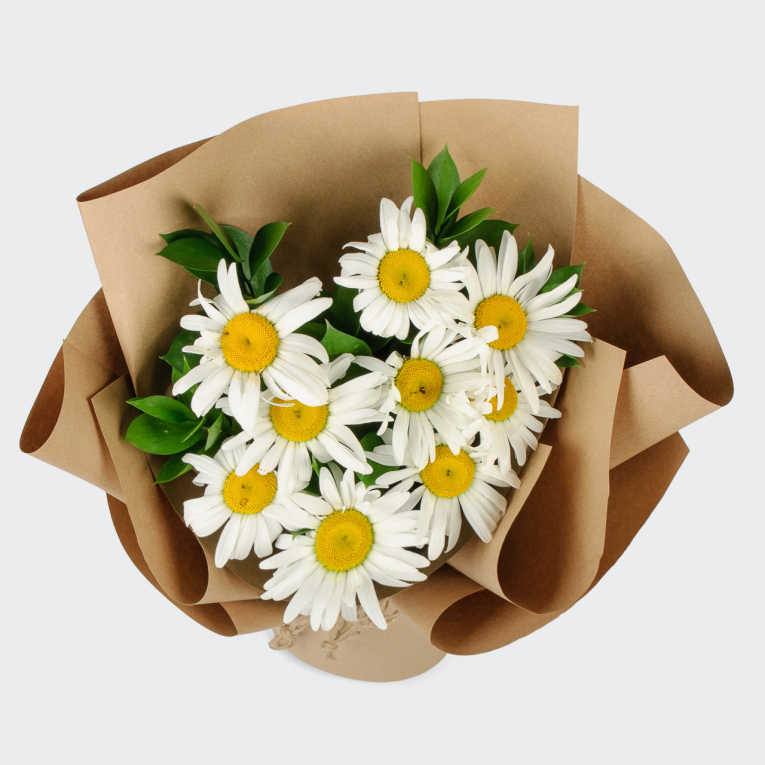 Букет ромашек Полевой цвет (9 шт)