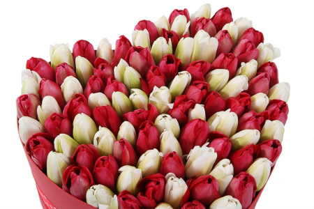 Композиция Весеннее вдохновение (макси), красно-белая