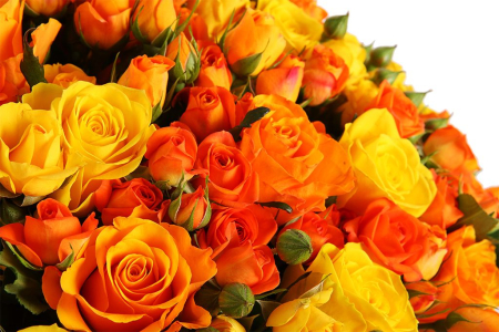 Букет Пламя любви, 101 роза микс