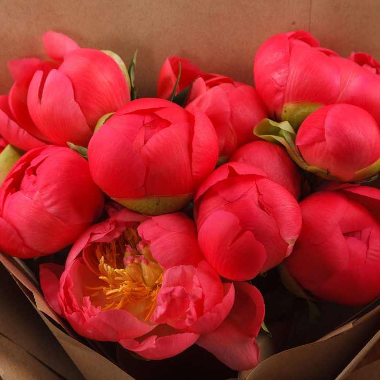 Букет из 11 пионов Шанхай