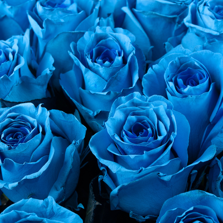 Букет 25 роз Поцелуй Мальвины