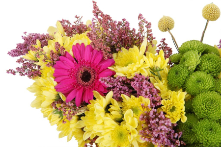 Бабочка Лимонница