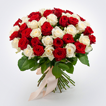 Букет 51 роза красно-белый микс (40 см)
