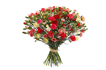 Букет с гвоздиками Звездные воспоминания