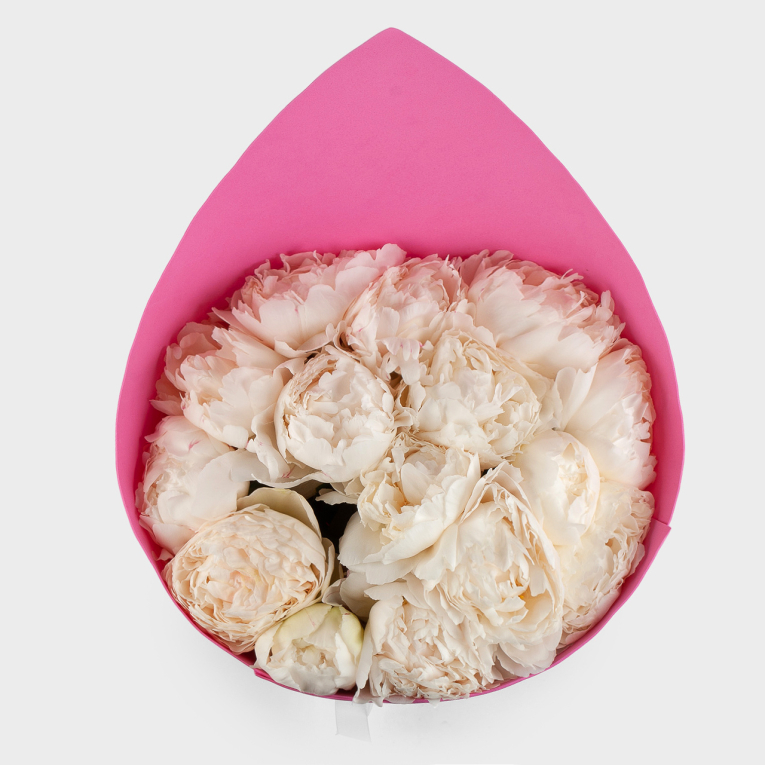 Букет из 15 пионов Песня ангела