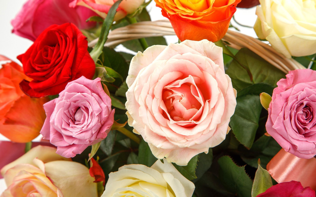 Цветы в корзине 21 розы Аморе мио