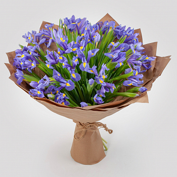 Букет из ирисов Ириска (макси)