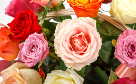 Цветы в корзине 21 розы Аморе мио