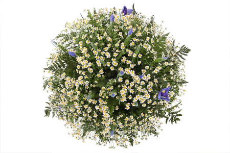 Букет с ромашками Праздник весны