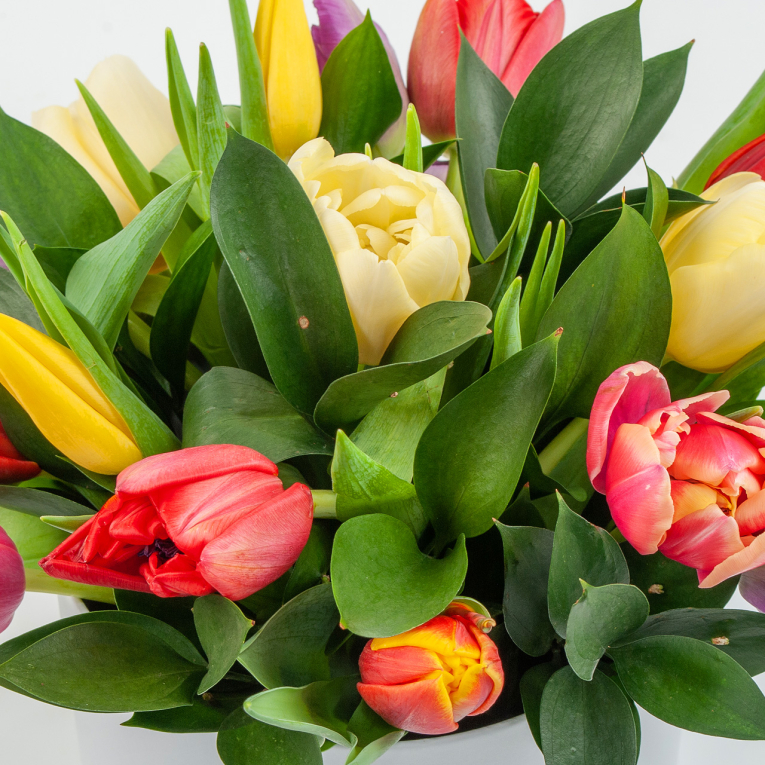 Букет 15 тюльпанов микс в белой шляпной коробке