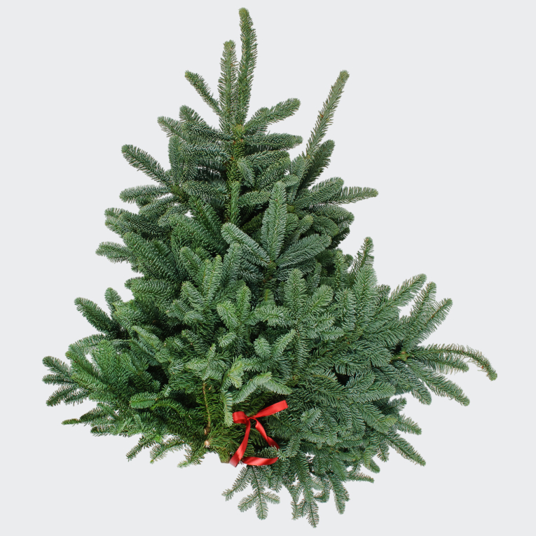 Нобилис (7 шт.)