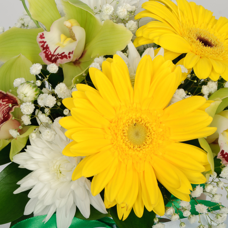 Букет в коробке Ты - моя весна