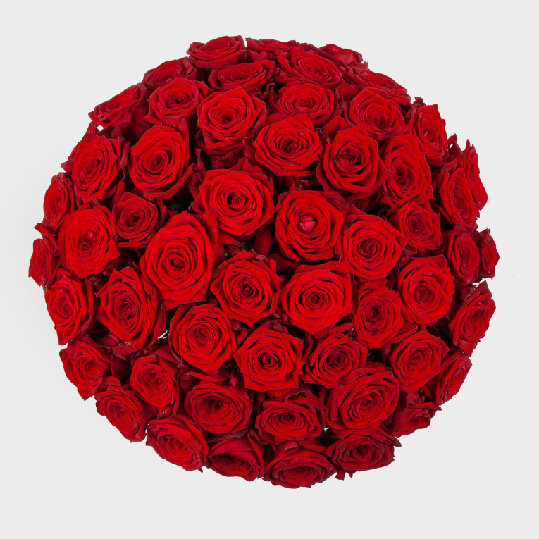 Букет в белой коробке Алые краски (51 роза)