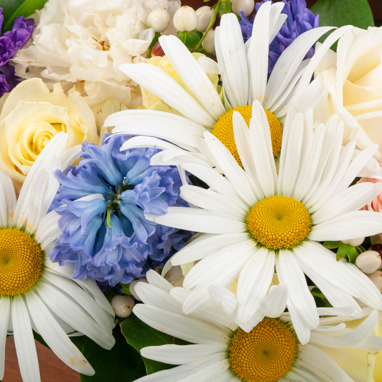 Композиция в кашпо Лики лета