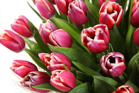 Букет Страна Оз