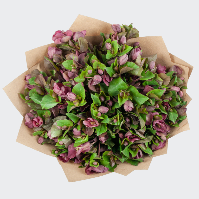 Букет Мягкая лужайка