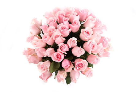 Букет 51 роза Титаник