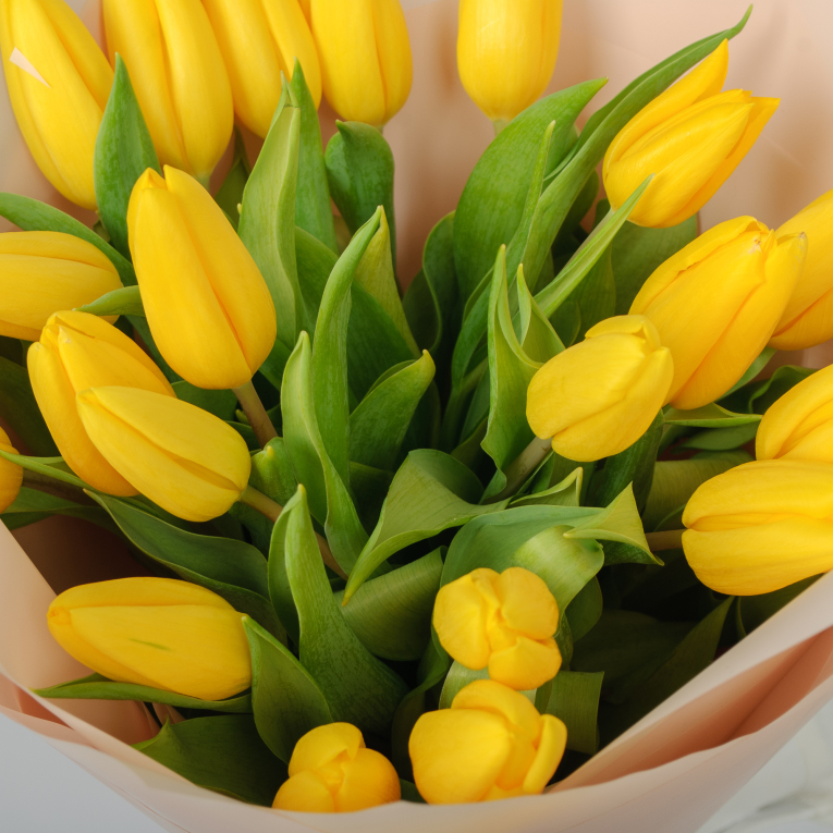 Букет 21 желтый тюльпан