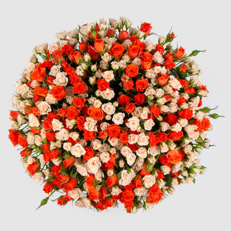 Букет из 101 розы Девочка-солнце