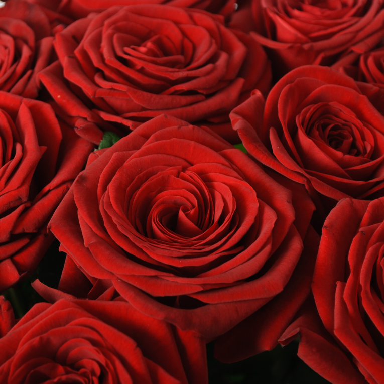 Букет 15 красных роз Ред Наоми (60 см)
