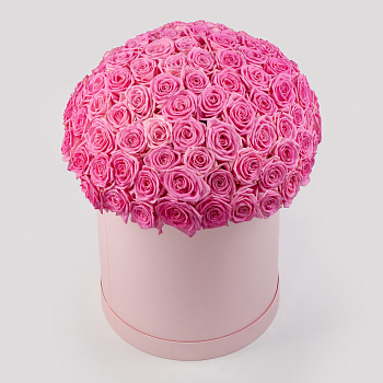 Букет в розовой коробке Жар сердца (101 роза)