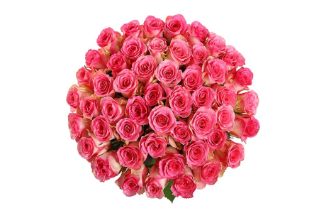 Букет 51 роза Малибу