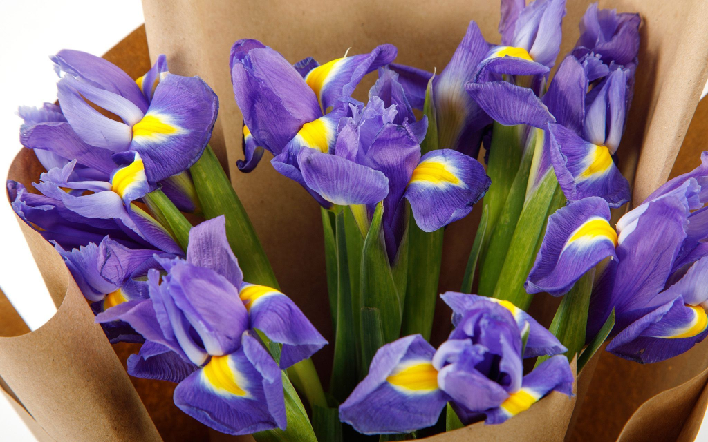 Комбо из букетов Небо и звезды