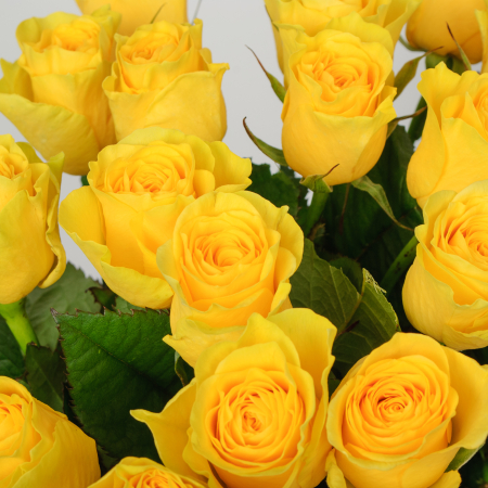 Букет 21 роза Илиос