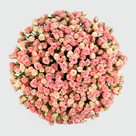 Букет из 101 розы Она одна