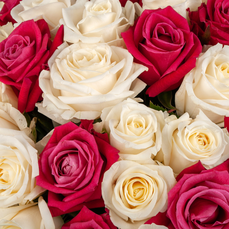 Букет из 51 розы Под луной