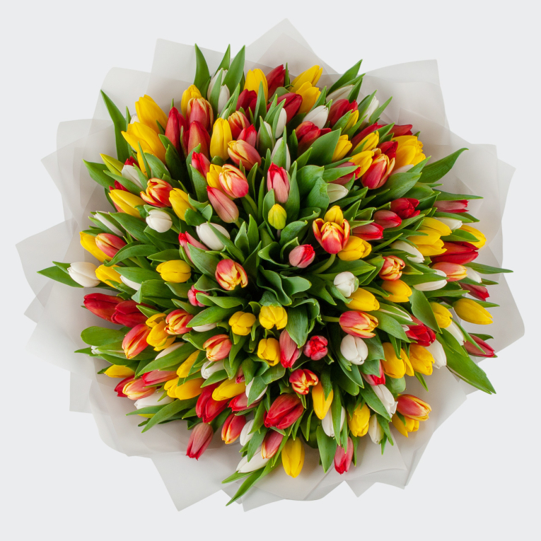 Букет 151 тюльпан Лучики солнца