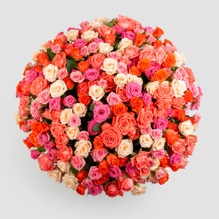 Букет из 101 розы Первый поцелуй