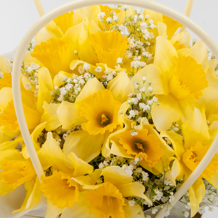 Букет в коробке Весенний свет