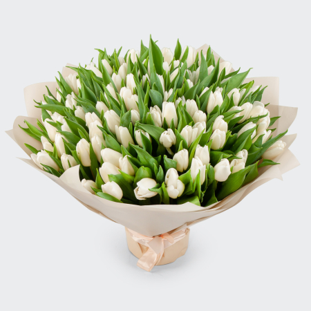 Букет 101 тюльпан Белое облако