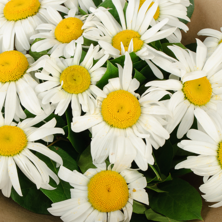 Букет Летнее приключение