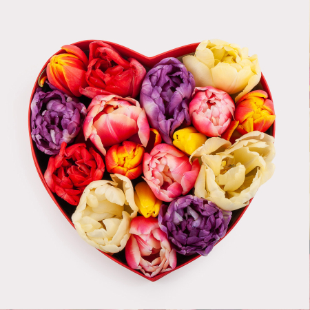 Композиция из тюльпанов Весенняя любовь