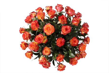 Букет 35 роз Хай Мэджик в корзине