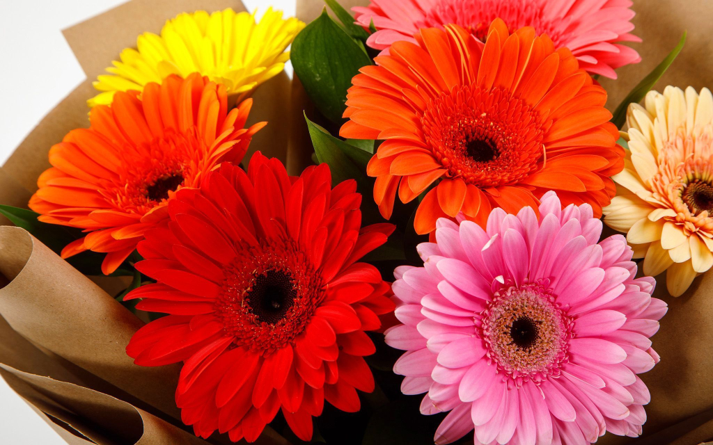 Комбо из букетов Счастье для двоих