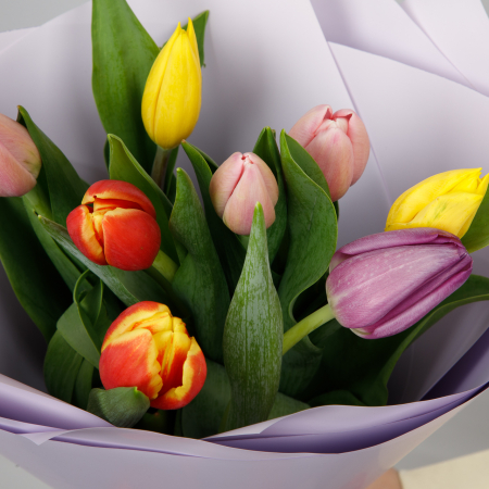 Букет Весенний калейдоскоп (9 тюльпанов)
