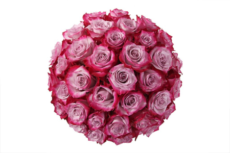 Букет 35 роз Дип Перпл в шляпной коробке