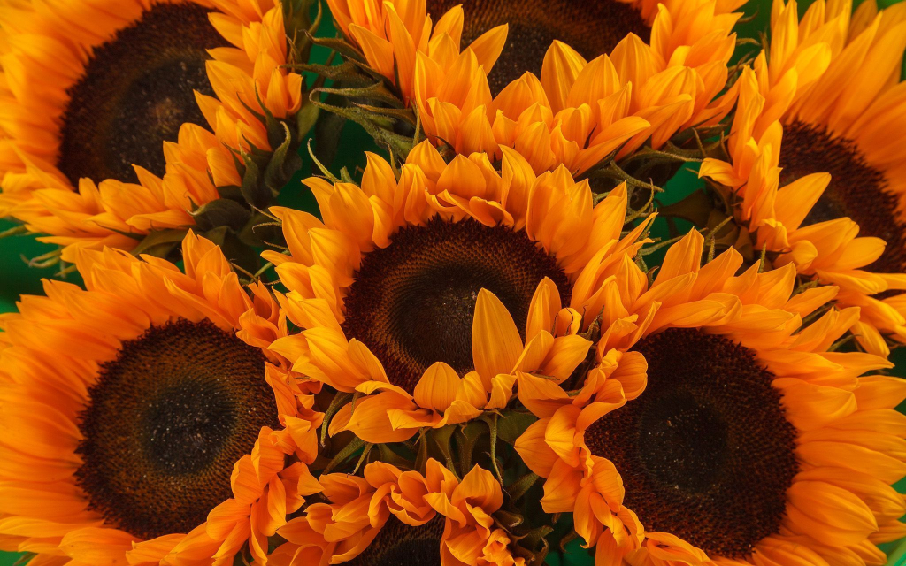 Букет 7 подсолнухов в фоамиране