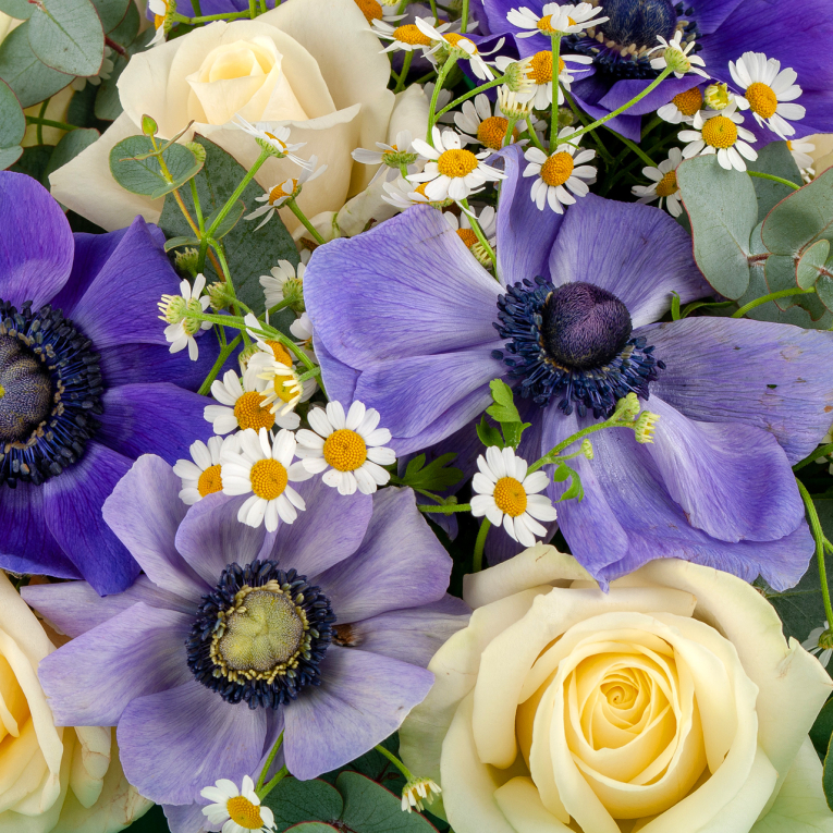 Букет Альпийское утро