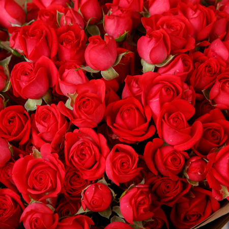 Букет 19 роз Городская романтика