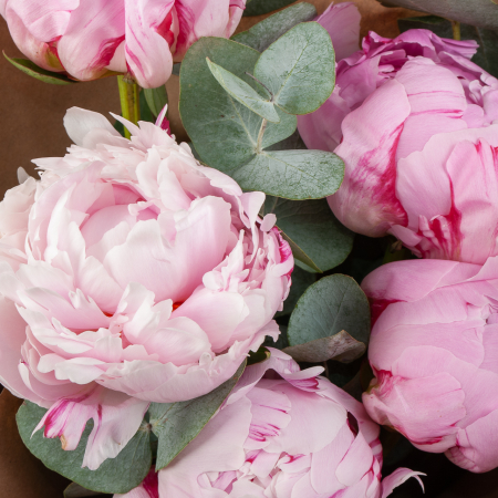 Букет из 5 пионов Розовое лето