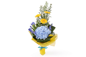 Букет Дебют Букет Дебют