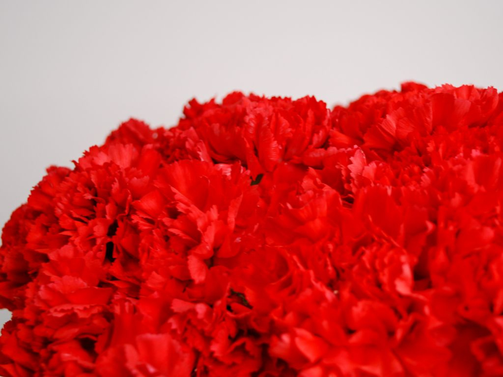 Букет 41 гвоздика